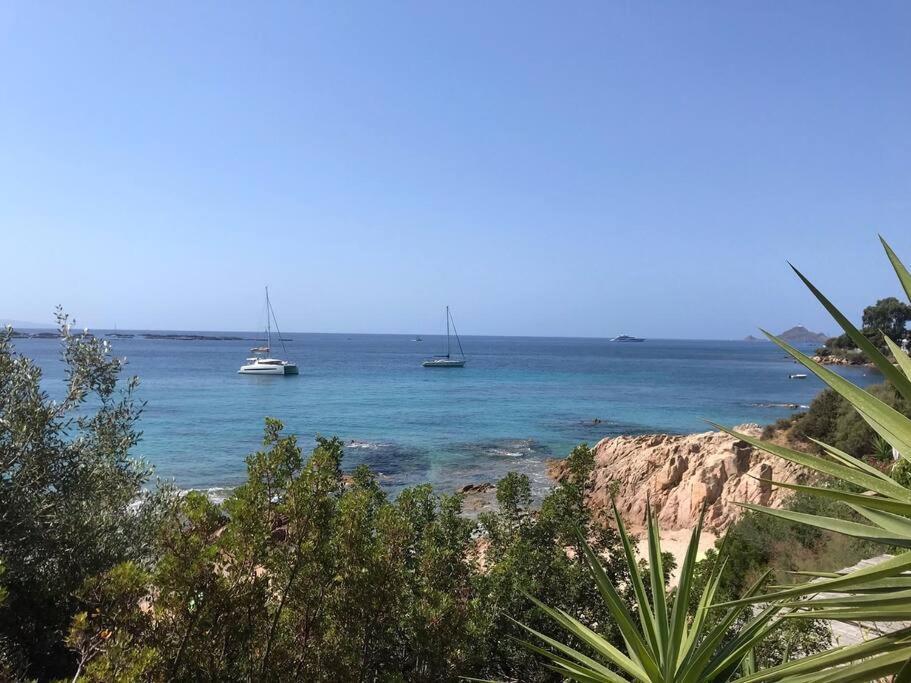Bel App T2 En Bord De Mer Vue Sanquinaires Piscine أجاكسيو المظهر الخارجي الصورة