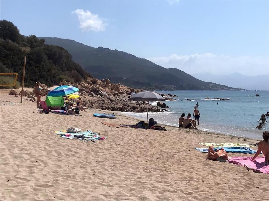 Bel App T2 En Bord De Mer Vue Sanquinaires Piscine أجاكسيو المظهر الخارجي الصورة