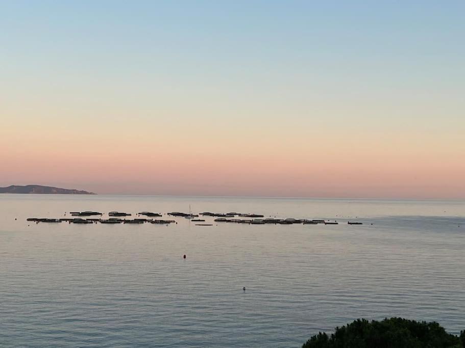 Bel App T2 En Bord De Mer Vue Sanquinaires Piscine أجاكسيو المظهر الخارجي الصورة